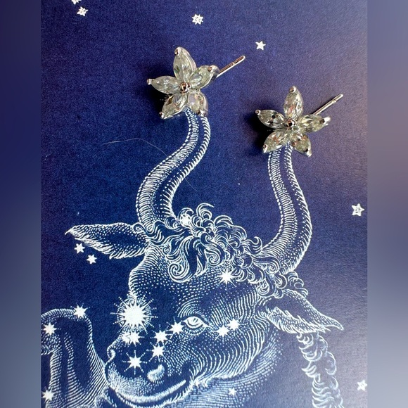 Flower Stud Earrings for Taurus Season - Picture 1 of 1